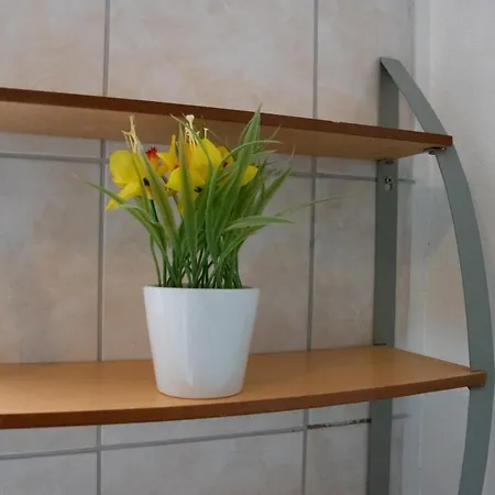 West Side Roses شقة